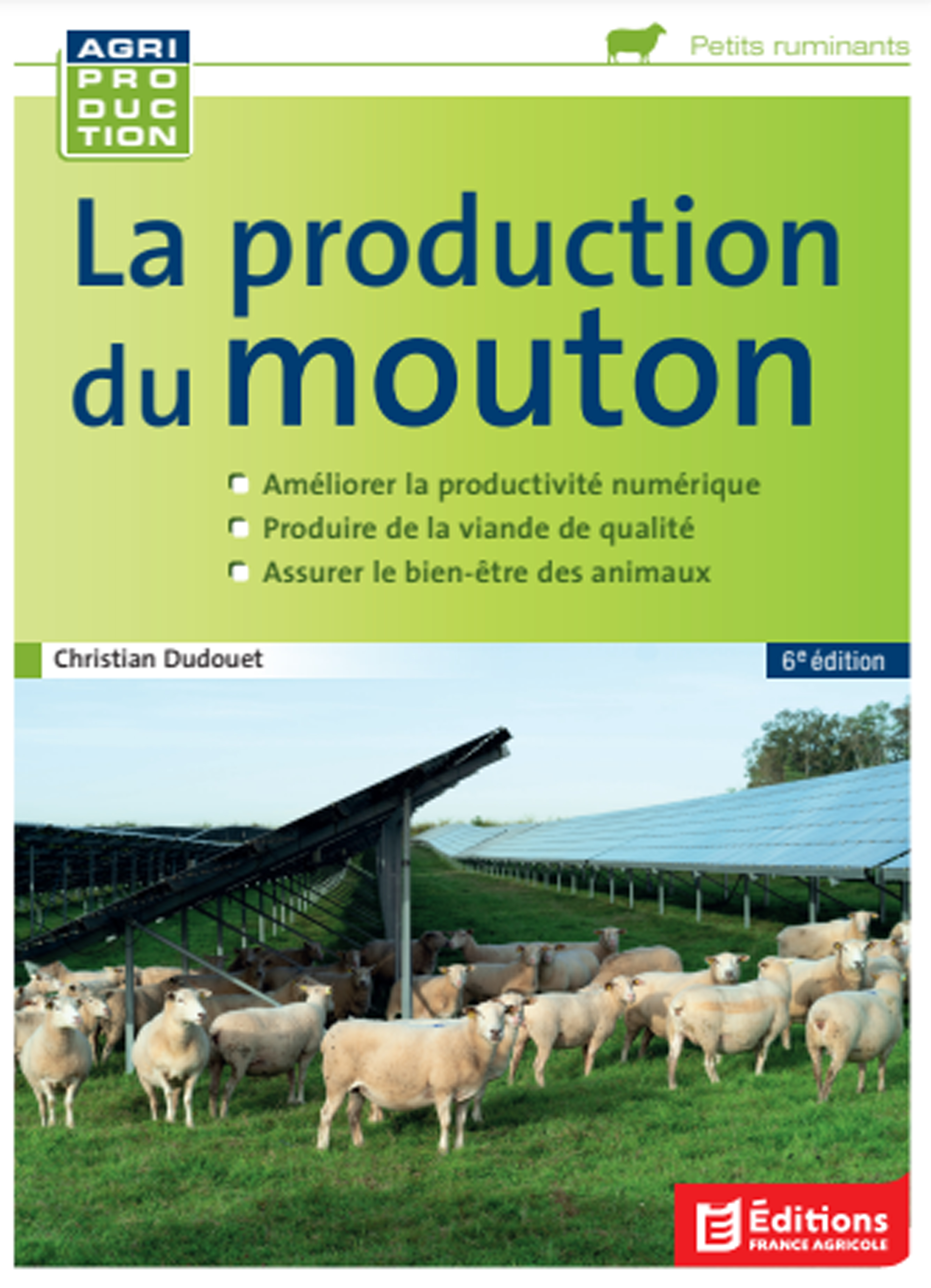 la production du mouton